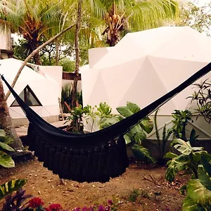 Frequency Hotel Ilha Holbox